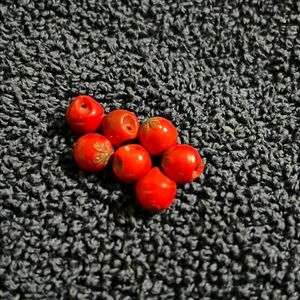 7 Vintage Red Tomato Buttons.
